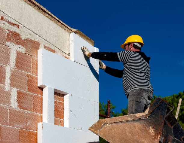 Best Insulation Contractors for Homes  in Syracuse, KS