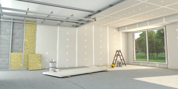 Best Home Insulation Services  in Syracuse, KS