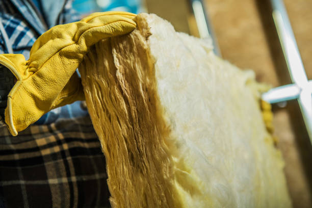 Best Insulation Inspection Services  in Syracuse, KS