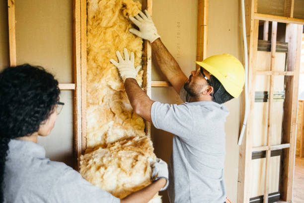 Best Attic Insulation Near Me  in Syracuse, KS