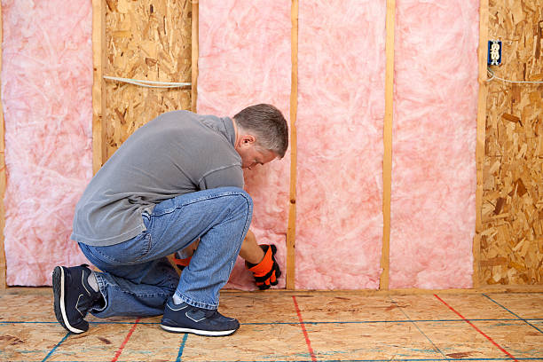 Best Attic Insulation Installation  in Syracuse, KS
