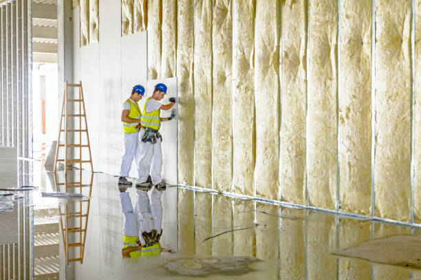 Best Local Insulation Services  in Syracuse, KS